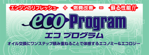 ecoprogramlogo