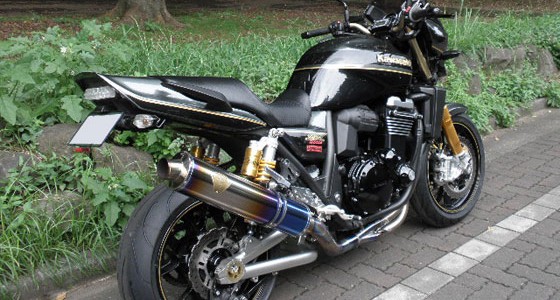 Kawasaki ZRX1200 DAEG